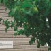 Сайдинг Ю-Пласт TIMBERBLOCK Пихта (Тимберблок) Cахалинская купить в Дмитрове