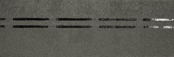 Коньково-карнизная черепица Docke Premium, авокадо купить в Дмитрове