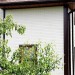 Фасадная панель Grand Line Сланец молочный купить в Дмитрове